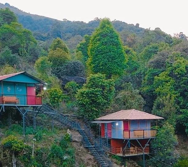 Green Land Tree House
